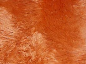 Овчина одношкурная ORANGE